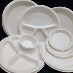 White Plastic Bio 4 CP Plate